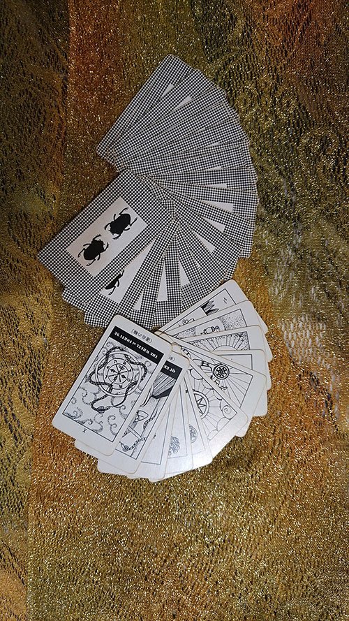 占い師いち唯のお気に入り写真1